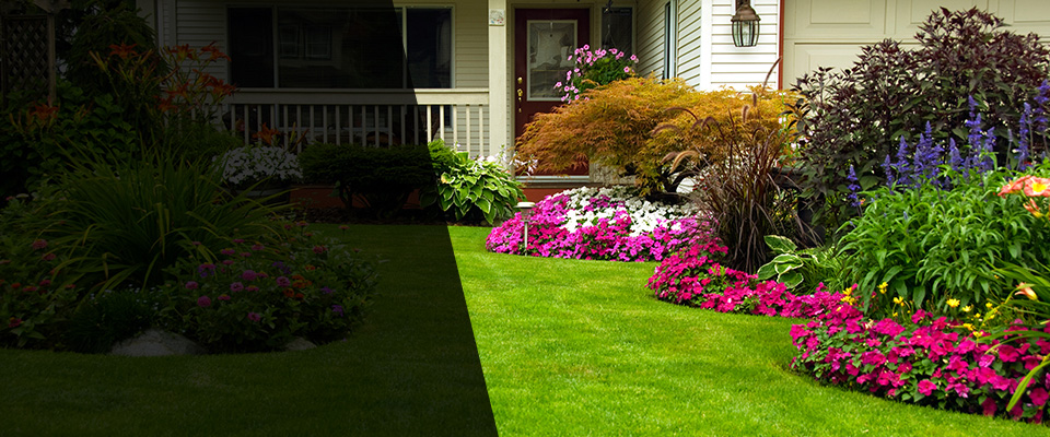 Reseda Landscapers