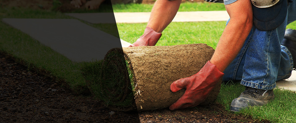 Reseda Landscapers